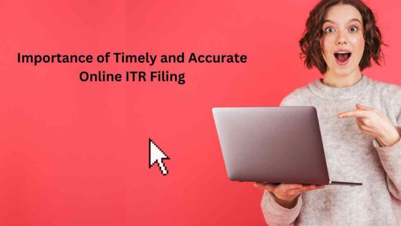 Importance of Timely and Accurate Online ITR Filing