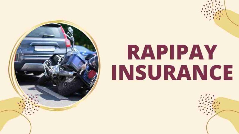 Rapipay Insurance: Fintech Firm Online Yojana Portal